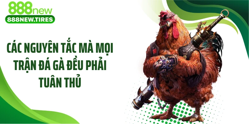 Các nguyên tắc mà mọi trận đá gà đều phải tuân thủ