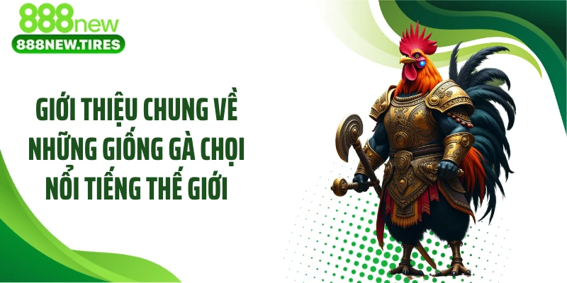 Giới thiệu chung về những giống gà chọi nổi tiếng thế giới