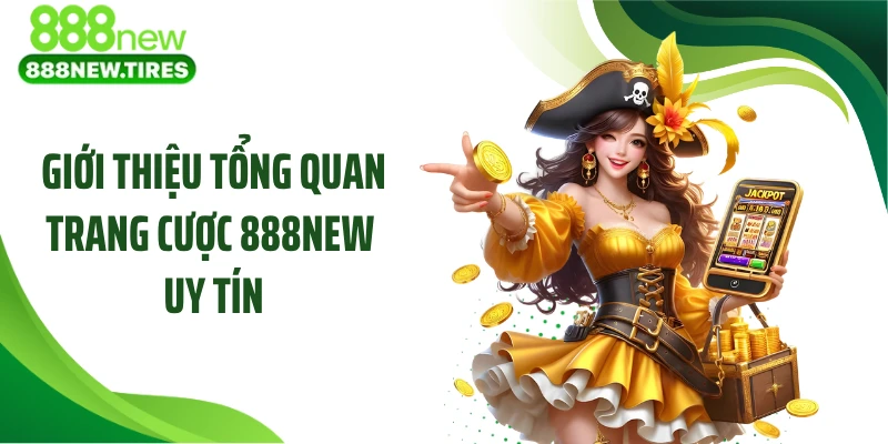 Giới thiệu tổng quan trang cược 888NEW uy tín