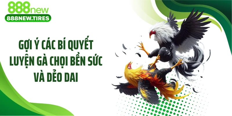 Gợi ý các bí quyết luyện gà chọi bền sức và dẻo dai