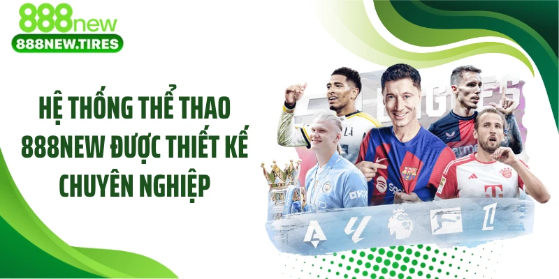Hệ thống thể thao 888NEW được thiết kế chuyên nghiệp