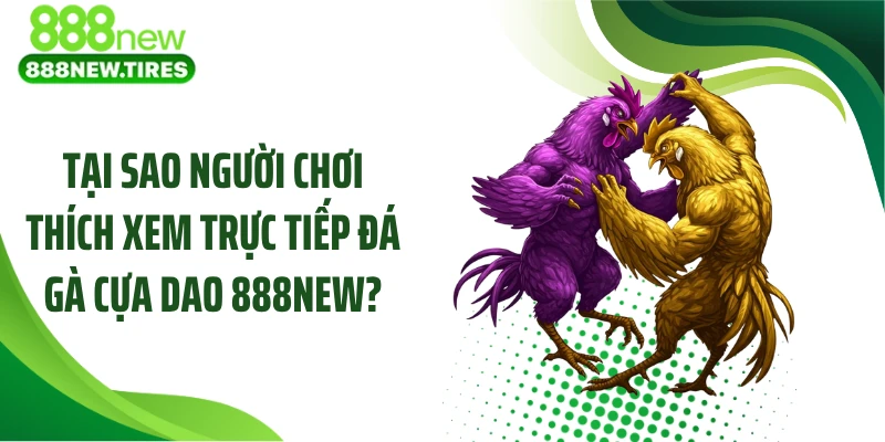 Tại sao người chơi thích xem trực tiếp đá gà cựa dao 888NEW?